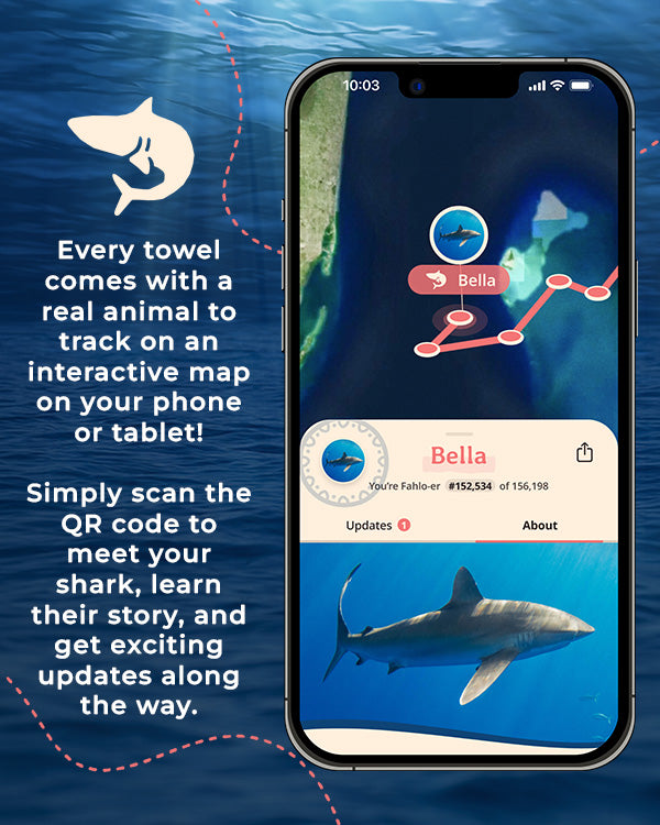 Alternative view of Voyage Shark - Large - Fahlo