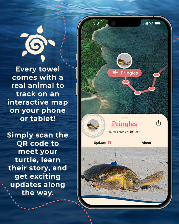 Alternative view of Journey Turtle - Fahlo